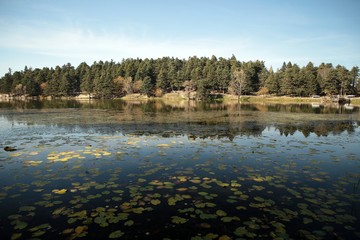 Wooden Lake house inside forest in Bolu Golcuk National Park, Turkey with reflection on the lake on cloudy sky.