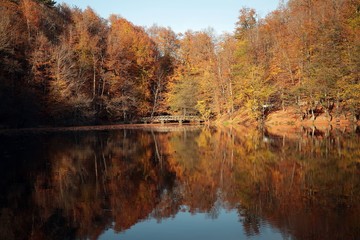 Autumn landscape in (seven lakes) Yedigoller Park Bolu, Turkey