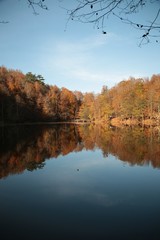 Autumn landscape in (seven lakes) Yedigoller Park Bolu, Turkey