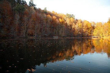 Autumn landscape in (seven lakes) Yedigoller Park Bolu, Turkey