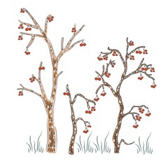 Seamless Hand Drawn Design with Trees. Bright Scandinavian Style. Vector Illustration