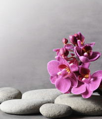 Obraz na płótnie Canvas Composition with spa stones, orchid pink flower on grey background.