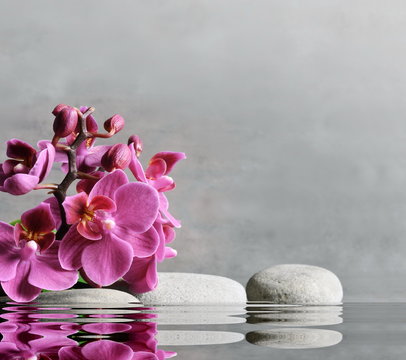 Composition with spa stones, orchid pink flower on grey background.