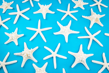Jumble of white starfish, fat and skinny, resting like abstract falling snowflakes on a bright blue background