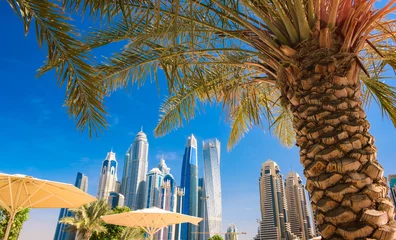 Wandaufkleber Panoramic view of palm trees and skyscrapers, vacation concept. © Aleksandr Matveev