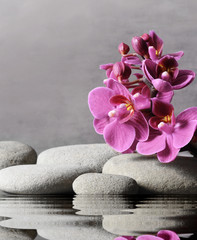 Composition with spa stones, orchid pink flower on grey background.