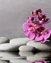 Zusammensetzung mit Badekurortsteinen, rosafarbene Orchideenblume auf grauem Hintergrund.