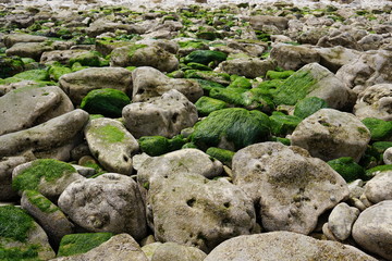 Strand Omaha Beach 