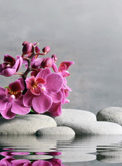 Composition with spa stones, orchid pink flower on grey background.