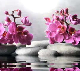 Poster Composition with spa stones, orchid pink flower on grey background. © Belight