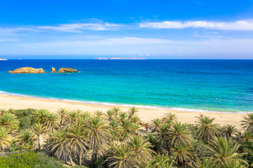 Scenic landscape of palm trees, turquoise water and tropical beach, Vai, Crete, Greece.