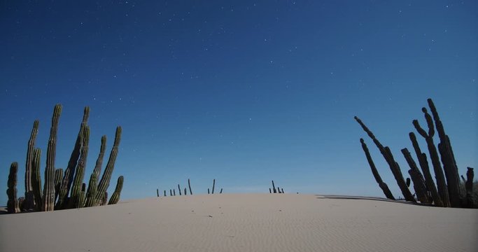 Ecotones Geminids Meteor Shower