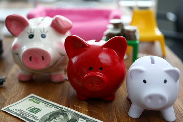 Obraz premium Colorful piggy bank