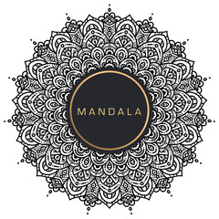 Black and white mandala vector isolated on white. Vector hand drawn circular decorative element.