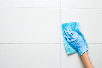 cleaning the toilet room, a hand in a blue glove washes a tile.