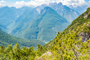 View of the Black Forest near Cibiana di Cadore, Belluno - Italy