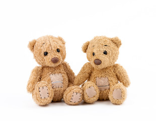 two brown teddy bears are sitting