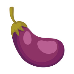 Isolated eggplant fruit vector design
