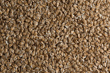Chit barley flackes malt background. Сereals for the production of alcoholic beverages and animal feed. Flat lay