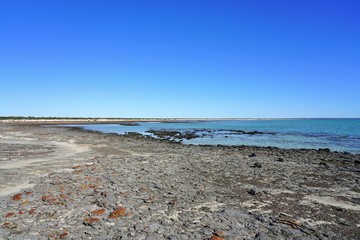 View of microbial mats stromatolites at the Hamelin Pool in Shark Bay, World Heritage area, Western Australia
