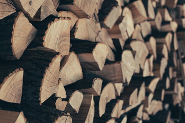 Preparation of firewood for the winter. Firewood background.