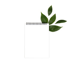 White notebook isolated on a white background and green spring leaves. View from above
