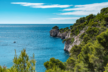 Beautiful nature of Calanques on the azure coast of France.