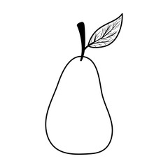 Isolated pear fruit vector design