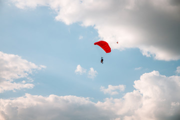 Paratrooper parachuting in blue sky. Military service
