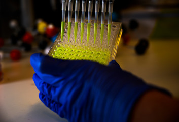 Researcher holding Multi channel pipette withdrawing green fluorophore compound solution with plastic tips for biomedical research with bright background