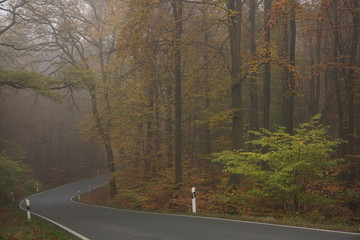 Fototapeta premium Strasse im Nebel