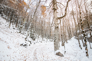 Ordesa National Valley in snowy autumn, located in Pyrenees Spain