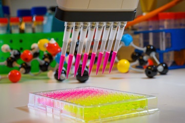 Multi channel pipette withdrawing pink color solution with tips for clinical research with model compounds in background