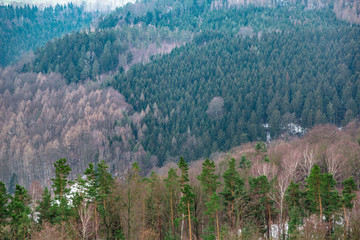 Fototapeta premium Winter forest on slopes of mountains. Aerial view
