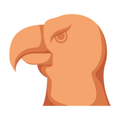 Isolated eagle bird vector design
