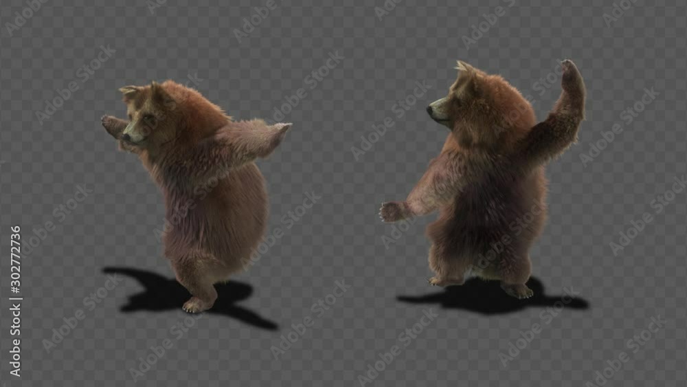 Wall mural bear dance cg fur 3d rendering animal realistic cgi vfx animation loop composition 3d mapping cartoo