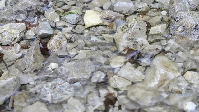 Close up of clean, clear water running over light gray stones in a pure mountain stream or river.