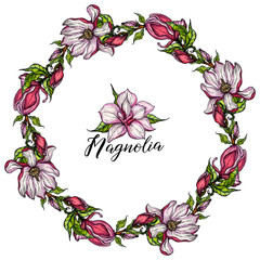 vector bright flower collection of Magnolia flowers and buds