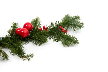 a Christmas pine tree branch with a red berries isolated on white