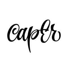 Vector hand drawn calligraphy style lettering word - caper. Labels, shop design, cafe decore etc Isolated script spice text logo.