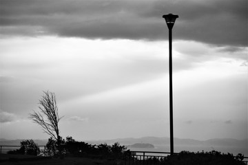 Scenery of nature park in late autumn / Background silhouette