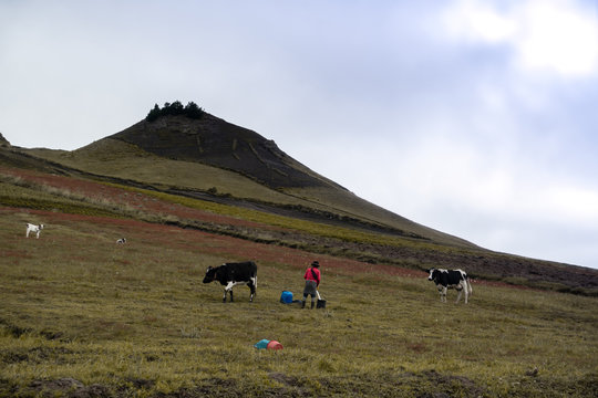 Shepherd - Quilotoa loop