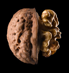 Macro photo of half opened walnut with kernel isolated on a black background