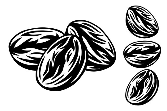 Vintage retro roasted coffee beans isolated vector illustration on a white background.