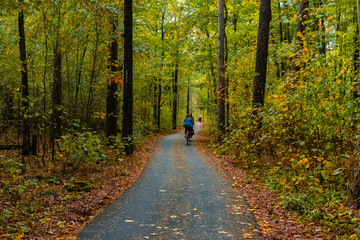 Obraz premium Bike path through an autumnal forest, bike path with cyclists, autumn forest and a bike path