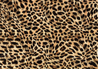 leopard skin pattern - obrazy, fototapety, plakaty