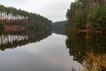 Obraz premium Hazy lake and coniferous forest. Calm water surface above the backwaters.