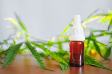 Medicinal cannabis CBD with extract oil in a bottle. Concept of herbal alternative medicine, CBD oil. Glass bottles with hemp oil among hemp leaves