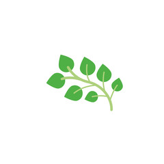 Obraz premium branch foliage nature leaf icon flat