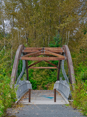 2019-10-06 CONFLUENCE WALKING BRIDGE IN ISSAQUAH WASHINGTON